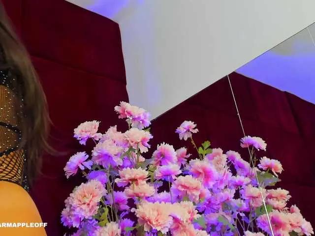 Freechat SugarMaple on BongaCams