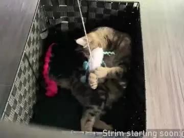 booker_baxton — Cook the bird, not the country!  #uncut #young #gay #bi #twink