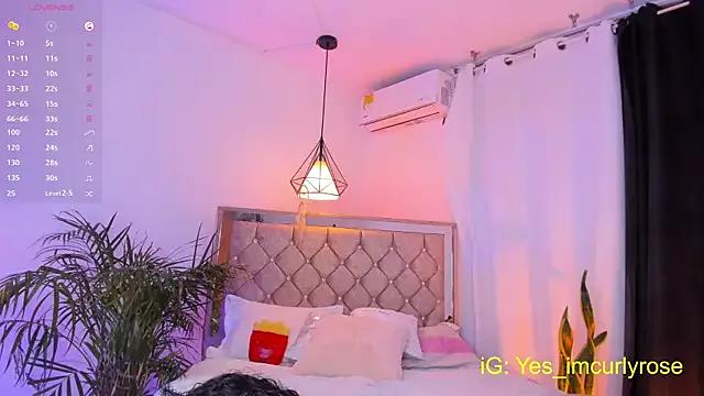 Freechat CurlyRose__ on StripChat