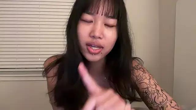 Freechat donna_creamteam on StripChat