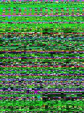 Freechat Rosa_25x on StripChat