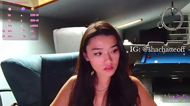 Private shachatteof on StripChat