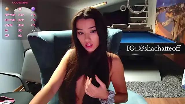 Private shachatteof on StripChat