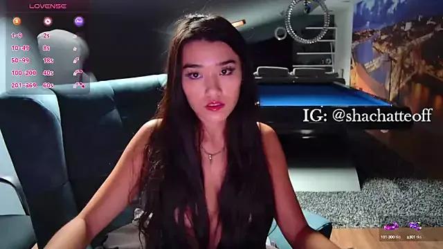 Private shachatteof on StripChat