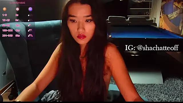 Private shachatteof on StripChat