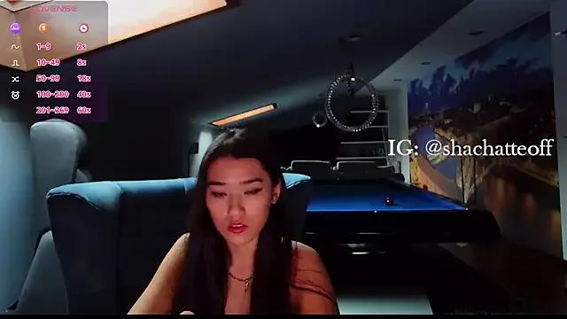 Private shachatteof on StripChat