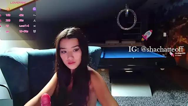 Private shachatteof on StripChat